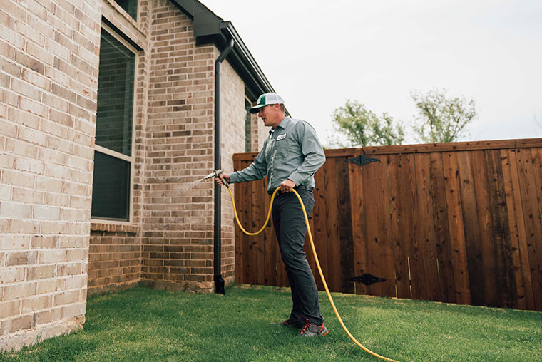 garden disinfection