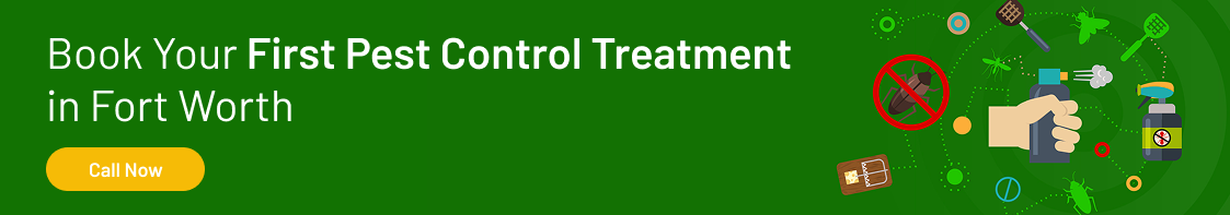 First Pest Control Treatment in Fort Worth