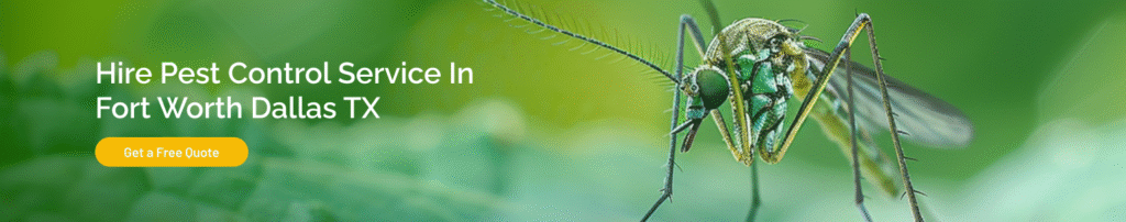 hire pest control services