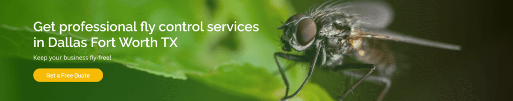 Get professional fly control services in Dallas Fort Worth TX—keep your business fly-free