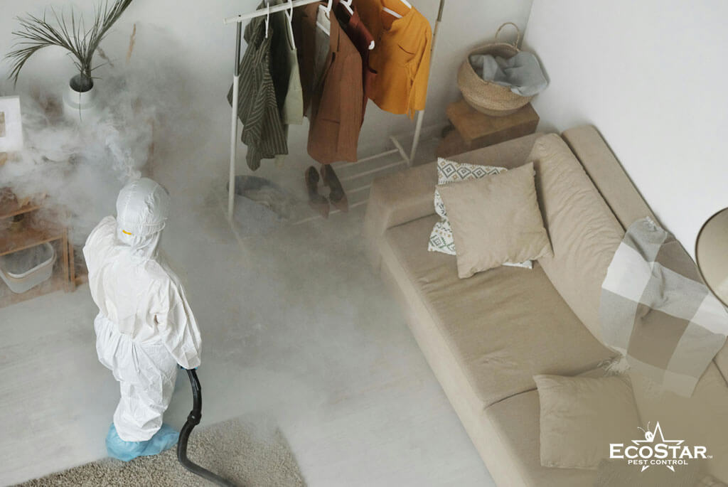 The Seasonal Pest Control Checklist Every Dallas Homeowner Needs 