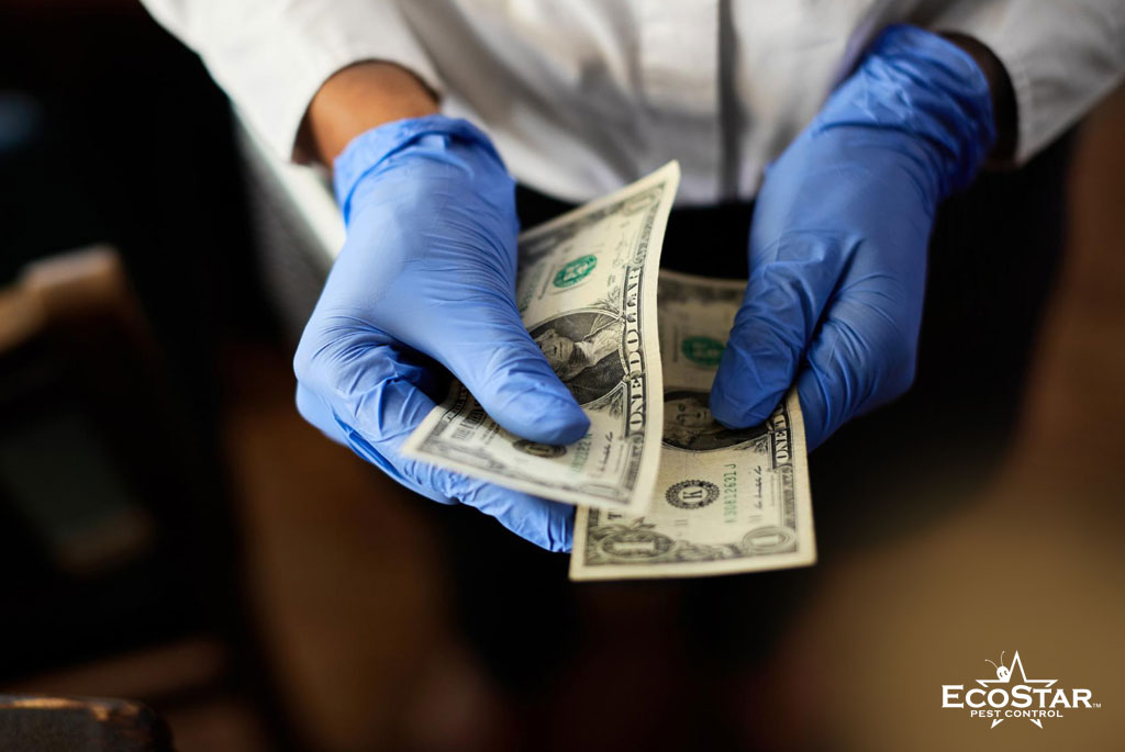 Pest Control Cost in Dallas TX 2026