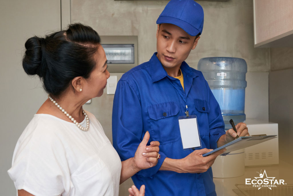 Pest Control Services Dallas TX