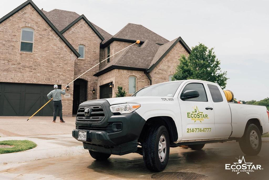 Top 5 Pest Control Companies in Dallas, TX (2026)