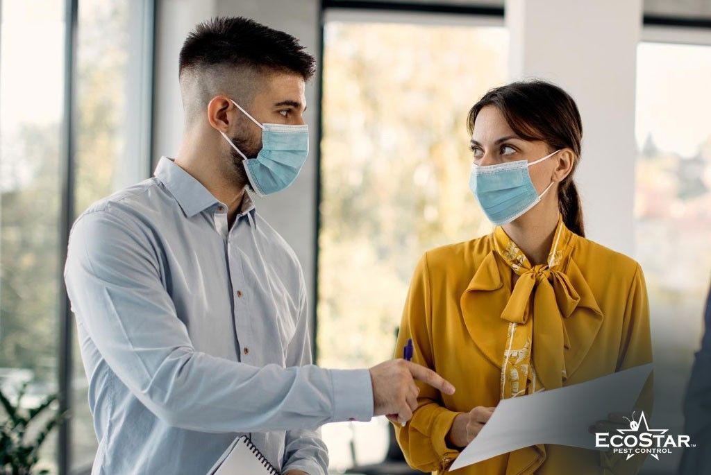 How-Often-Should-You-Schedule-Pest-Control-in-Carrollton