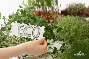 Eco-Friendly Pest Control