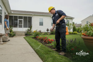 Choose Ecostar Pest Control for Mosquito Pest Control Dallas, Texas