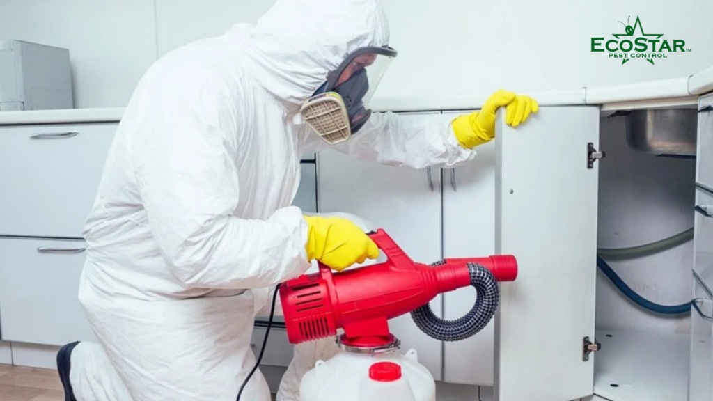 emergency pest control