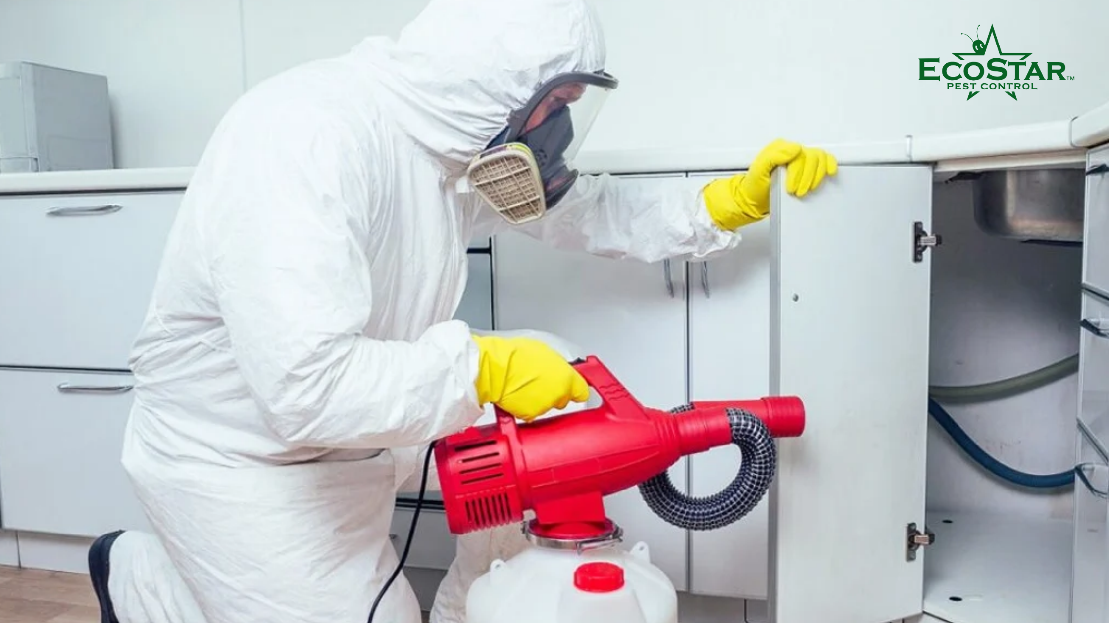 emergency pest control