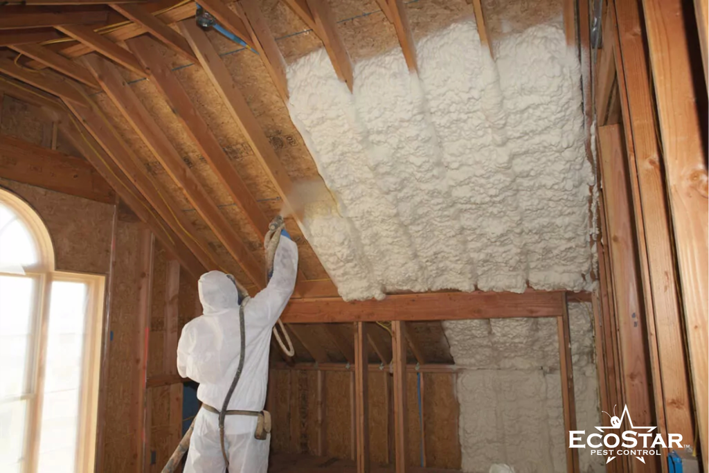 Spray Foam Insulation