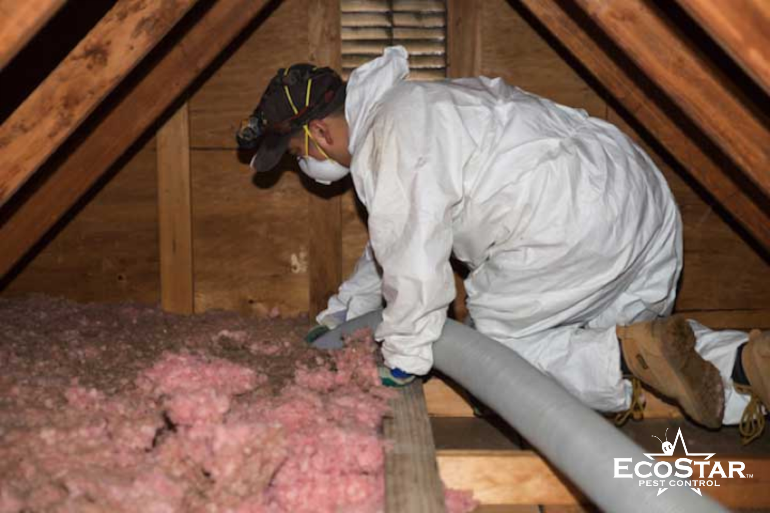 insulation removal